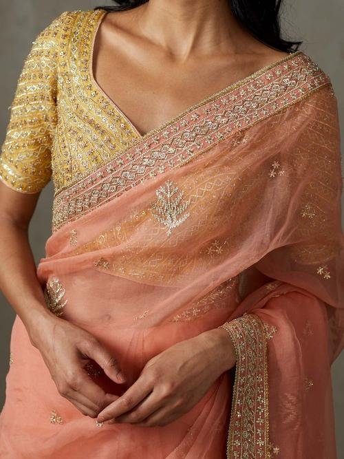 Coral Sterling Saree With Stitched Blouse — image 2