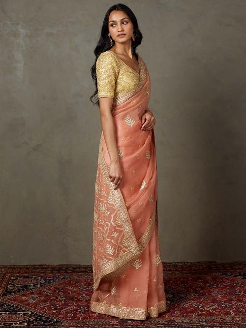 Coral Sterling Saree With Stitched Blouse — image 3