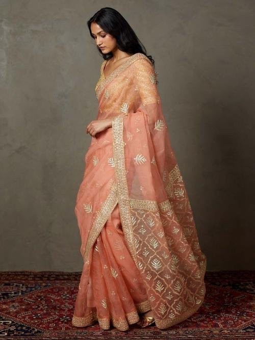 Coral Sterling Saree With Stitched Blouse — image 5