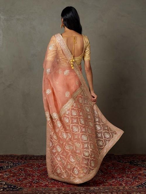 Coral Sterling Saree With Stitched Blouse — image 4